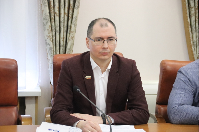 Депутатский корпус настоял на возбуждении уголовных дел за незаконный снос деревьев в Ульяновске