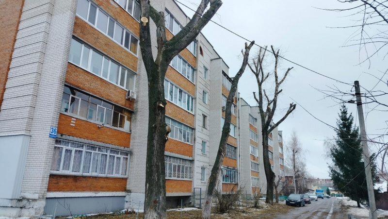 Обрезка деревьев на округах под контролем депутатов  